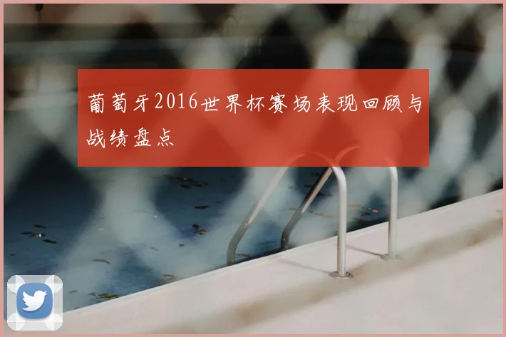 葡萄牙2016世界杯赛场表现回顾与战绩盘点