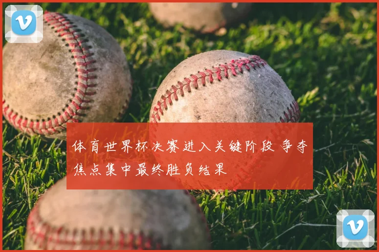体育世界杯决赛进入关键阶段 争夺焦点集中最终胜负结果