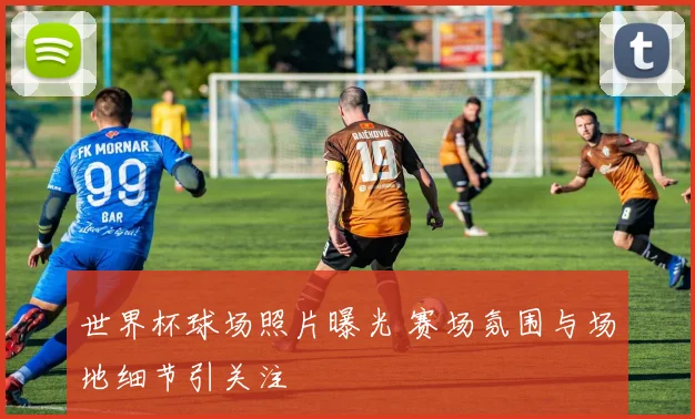 世界杯球场照片曝光 赛场氛围与场地细节引关注
